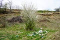 A pile of garbage in a clearing in the countryside against the backdrop of a flowering tree on a spring day. Concept of ecology.