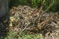 A pile of garbage. Dry branches and grass Royalty Free Stock Photo