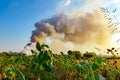 Pile of garbage on dump burns