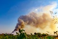 Pile of garbage on dump burns