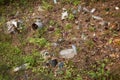 Pile of garbage in nature. Plastic rubbish in forest on meadow Royalty Free Stock Photo