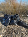 Pile of Garbage plastic black and trash bag waste many on the footpath, pollution trash, Plastic Waste and Bag Foam tray Garbage Royalty Free Stock Photo