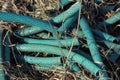 A pile of garbage from small green plastic tubes in the dry grass