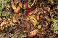 Pile of garden compost - vegetable and fruit remains from kitchen - closeup detail from above