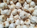Pile of garlic bulbs. Garlic background Royalty Free Stock Photo