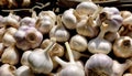 A pile of garlic cloves in a basket