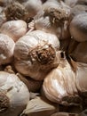 Pile garlic in dark mood photography Royalty Free Stock Photo