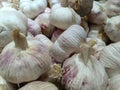 pile of harvested garlic sale in the market