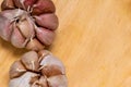 Pile of Garlic is on a wooden tray Royalty Free Stock Photo