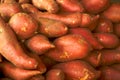 Pile of garnet yams