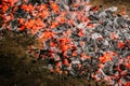 A pile of glowing coals diagonal at night Royalty Free Stock Photo