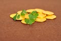 A pile of gold coins displayed with a bunch of clovers