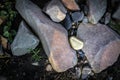 A pile of Gold nugget grains, on big river stone. Golden texture