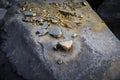 A pile of Gold nugget grains, on big river stone. Golden texture