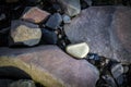 A pile of Gold nugget grains, on big river stone. Golden texture