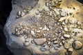 A pile of Gold nugget grains, on big river stone. Golden texture