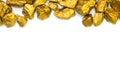 A pile of gold nuggets or gold ore on white background, precious stone or lump of golden stone, financial and business concept Royalty Free Stock Photo