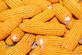 A pile of golden corn in the harvest season Royalty Free Stock Photo