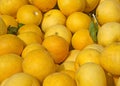 Pile of grapefruits