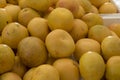 Pile of grapefruits Royalty Free Stock Photo