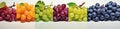 Set with different ripe grapes Royalty Free Stock Photo