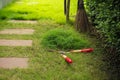 The pile of grass cut by the garden scissors with blurred coconut broom and garden in background Royalty Free Stock Photo