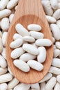 Pile Great Northern Beans in wooden spoon background.
