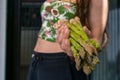 Pile of green asparagus in girl& x27;s hand Royalty Free Stock Photo