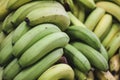 Pile of green bananas on the farmers market or shop