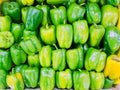 A pile of green bell peppers are neatly stacked in rows. Full screen photo. Background wallpaper