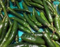 Pile of Green big Chili in the tray. Texture background of green pepper. Royalty Free Stock Photo