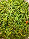 A pile of green chilies on display at a supermarket. Royalty Free Stock Photo