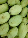 Pile of green fresh mangoes Royalty Free Stock Photo