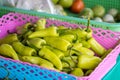 Pile of green hot chilli pepper in fresh market. Green pepper healthy food.  a pile of green chili pepper in harvest season placed Royalty Free Stock Photo