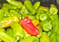Pile of green, JalapeÃÂ±o peppers  with one red pepper in center, at a farmers market Royalty Free Stock Photo