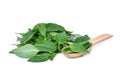 Pile of green leaf basil herb in wooden spoon isolted on white