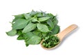 Pile of green leaf basil herb in wooden spoon isolted on white