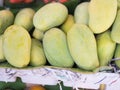 Pile of green mangoes in market, fresh fruit, Thailand Royalty Free Stock Photo