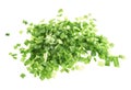 Pile of green onion cut in pieces Royalty Free Stock Photo