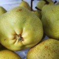 Pile of green pears sold by traders at the fruit market Royalty Free Stock Photo