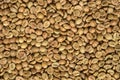 Pile of green robusta coffee beans background or texture Royalty Free Stock Photo