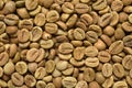 Pile of green robusta coffee beans background or texture