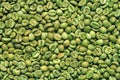 Pile of green robusta coffee beans background or texture Royalty Free Stock Photo