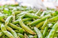 Pile of green snap peas pea pods being sold at a farmer`s market Royalty Free Stock Photo