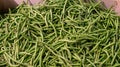 Pile of green string beans Royalty Free Stock Photo
