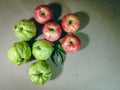 Pile of guava and red apple, Assortment of exotic fruits isolated on grey background. Creative layout made of fresh fruits. Royalty Free Stock Photo