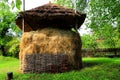 Pile of hay on agricultural farm, harvest time, dried grass straw, mountain of hay under roof Royalty Free Stock Photo