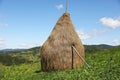 Pile of hay on field under blue sky Royalty Free Stock Photo