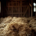 Pile of hay inside a rustic barn with soft natural lighting. Royalty Free Stock Photo