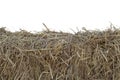 A pile of hay isolated on white background. Royalty Free Stock Photo